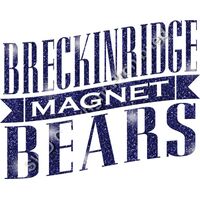 GLT57 BLUE GLITTER Thumbnail